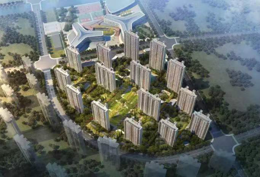 1579615100956894.jpg wangzhan44.jpg